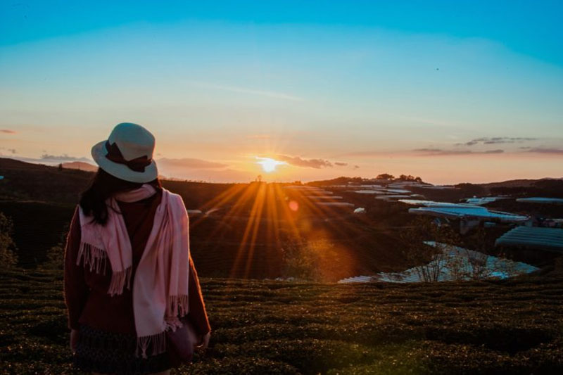 8 vacation essentials on your next out of town trip 7