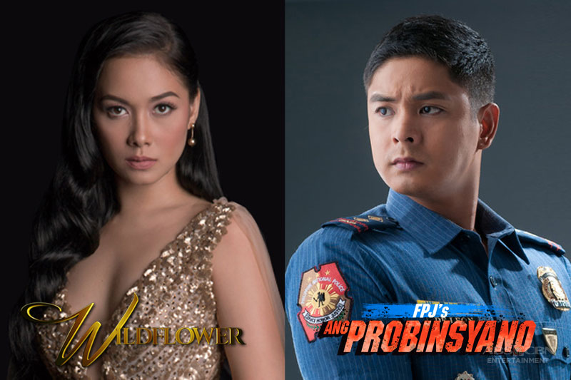 Netizens pick Ivy Aguas as Cardo’s dream ally on FPJ's Ang Probinsyano ...